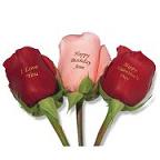 Personalized Roses