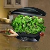 AeroGarden