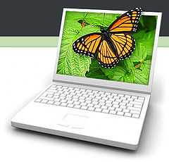 White Laptop